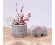 Image de Pâte à modeler autodurcissante 1kg Grise