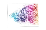 Image de Textures révélées par la couleur