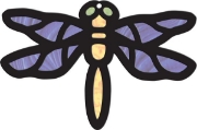 Image de Vitraux oiseaux et papillons