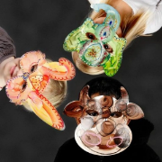 Image de Masques d'animaux, les 16