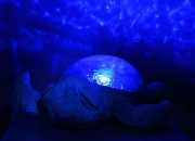 Image de Veilleuse, Tranquil Turtle