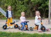 Image de Tricycle premier âge Little Cruiser