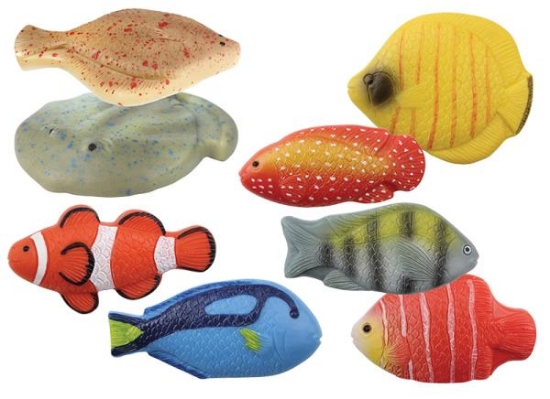 Image de Pierres sensorielles poissons – Yellow Door, les 8
