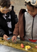 Image de Pierres sensorielles poissons – Yellow Door, les 8