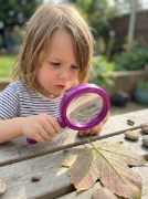 Image de Maxi loupes, les 6