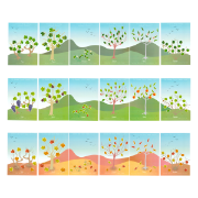 Image de Gommettes les 4 saisons, les 576