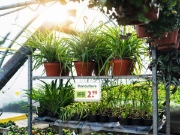 Image de Pochettes d'affichage étanches A5 serre-câbles, les 5