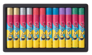Image de Pastels à l’huile métallisés, les 12