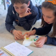 Image de Étoilium - Carnet A la découverte du monde