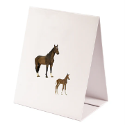 Image de Magnets animaux de la ferme, les 18 pièces