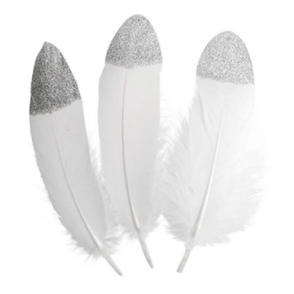 Image de la catégorie Plumes