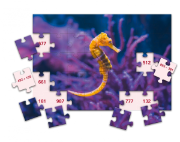 Image de Mathpuzzle addition et soustraction jusque 1000
