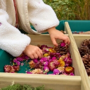 Image de Séparateurs de tri en bois pour Tuff Tray