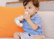 Image de Classic World - Chenille articulée