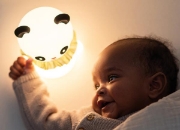 Image de Veilleuse Little Panda Taf Toys rechargeable