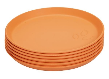Image de la catégorie Vaisselle verte - 100% recyclable