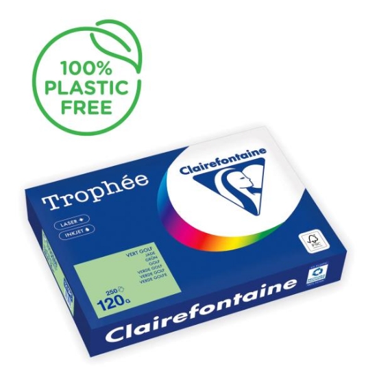 Image de Papier repro A4 120 gr vert pastel, rame de 250 feuilles