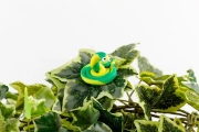 Image de "Softy" 500gr jaune