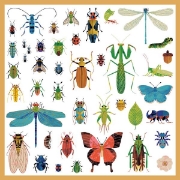 Image de Gommettes thématiques métallisées - microcosmos, pochette de 160