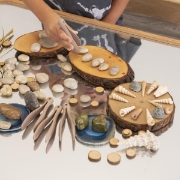 Image de Pinces éco - lot de 10
