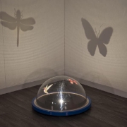 Image de Projecteur immersif pour la petite enfance